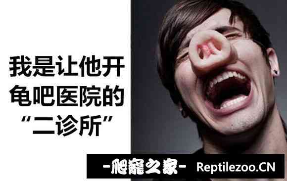 174142m21olfc2sc22femz.jpg