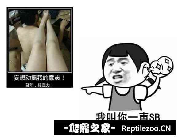 174142pb33b8j9b8198n9b.jpg