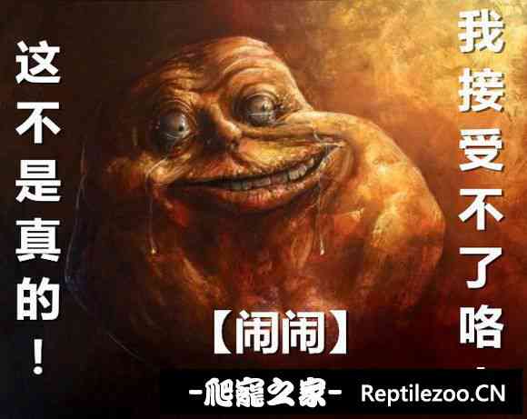 174143cz4k94ooubwoqwcc.jpg