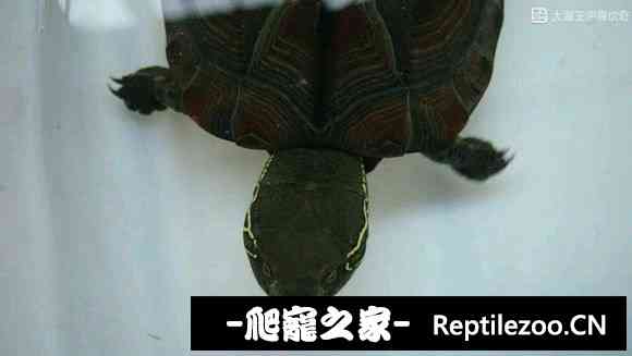 174649f7vwh7m7bst3wztm.jpg