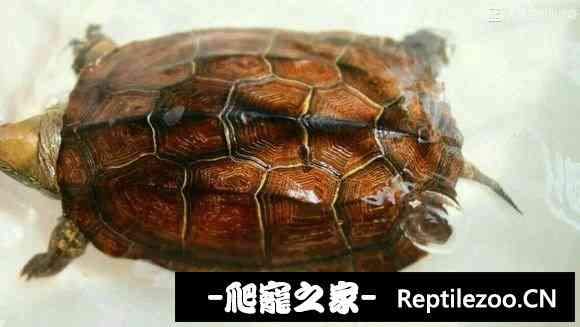174659q9u7resuuq6u7w7j.jpg