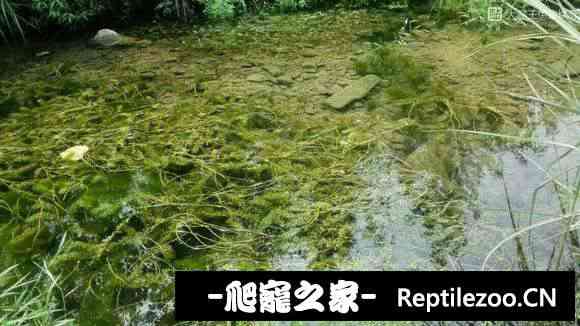 174708u5uz56a83azu556t.jpg