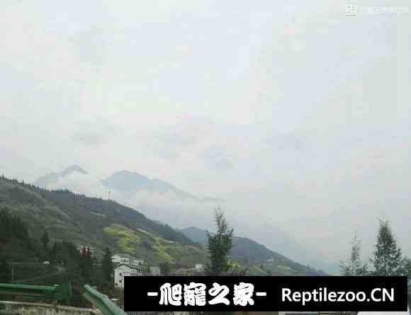 174712xbbsaoabn6b2n26s.jpg