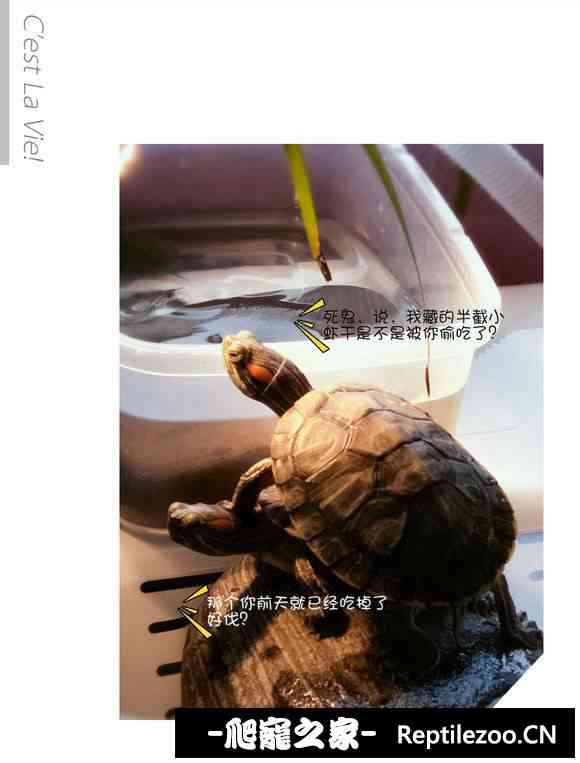 175502zslseldoqqbx02q3.jpg