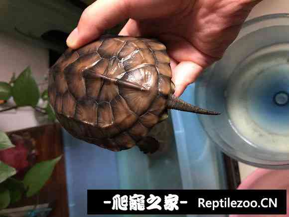 185041ch527djnih22u5bn.jpg