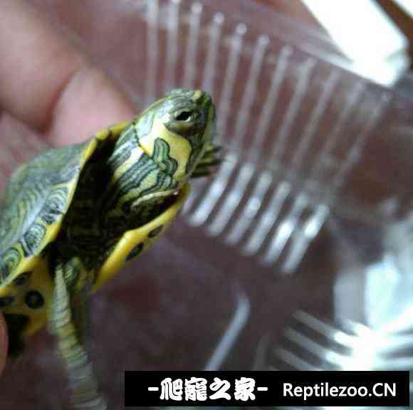 205038r73kp5l7u877qp5l.jpg
