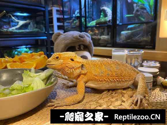 025638c0e9s9mzypps403d.jpg