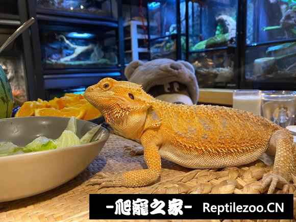 025639zz6d1fefiny6wevw.jpg