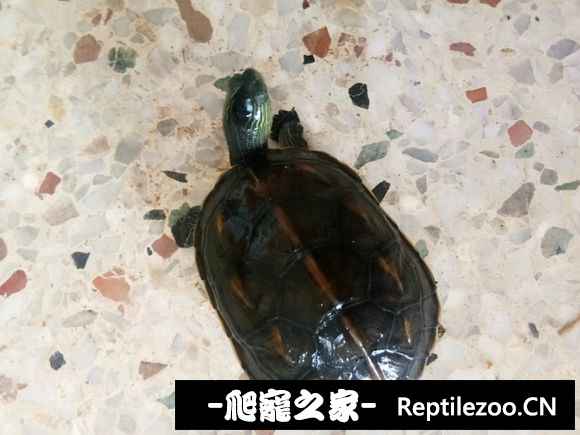094407xu1izhkwrr2fhrkl.jpg