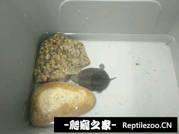 094926a2u5i0uwtw2gt2l2.jpg