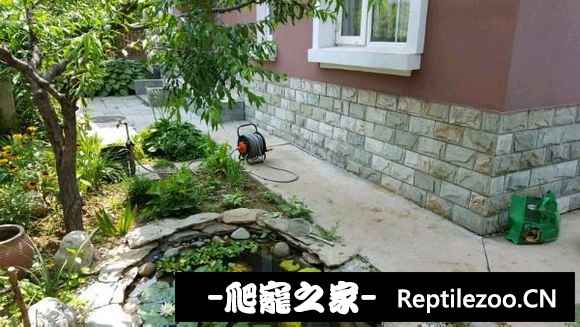 095239lwpff6qk7hj7q7ql.jpg