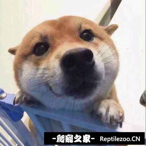 100005wjuoowzouo1yqkjr.jpg