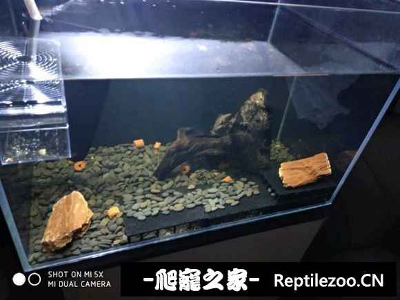 100432z2r3cu50jzb3r5us.jpg