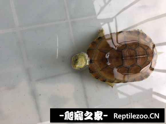 100606onp8oj88ip6ozrf9.jpg