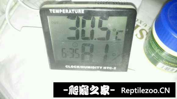 100954ci1i0mi3o0woqwpi.jpg