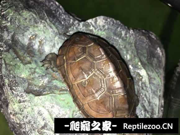 101009yrt5darxx45b4zri.jpg