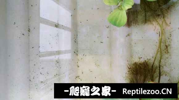 101336qri7fssfsrpvsxsi.jpg