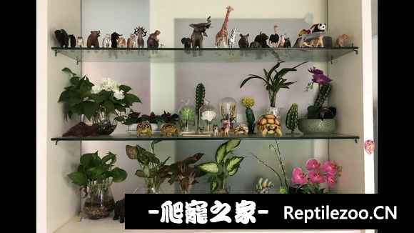 101853tb2bq8f1uf8q03gz.jpg