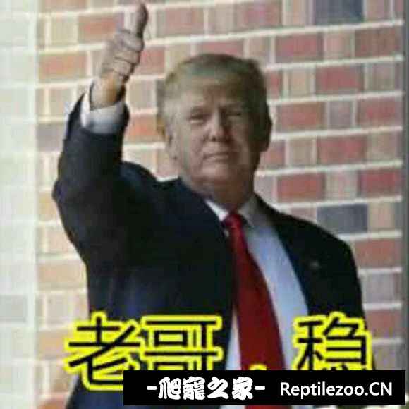 102157mwedphf8hhqrc8py.jpg