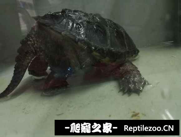 102730zp0soojwrrw0opc2.jpg