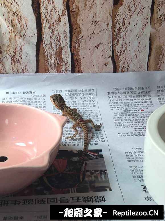 121858eru4us0ras74miqk.jpg