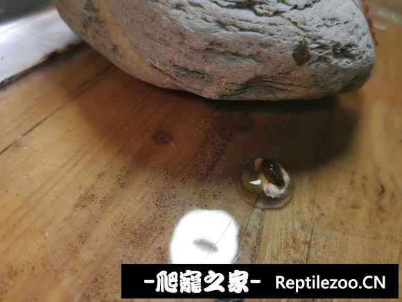 121916ik1za4f2kpa1paak.jpg