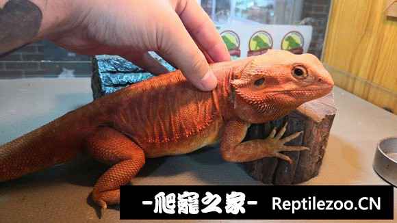 160520f5rpv794pn88pxnu.jpg