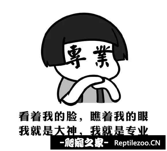 160945kjdkjfjxry52j7gy.jpg