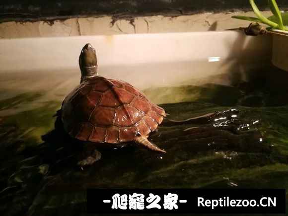 161009y8ai8zmmv07cj87q.jpg