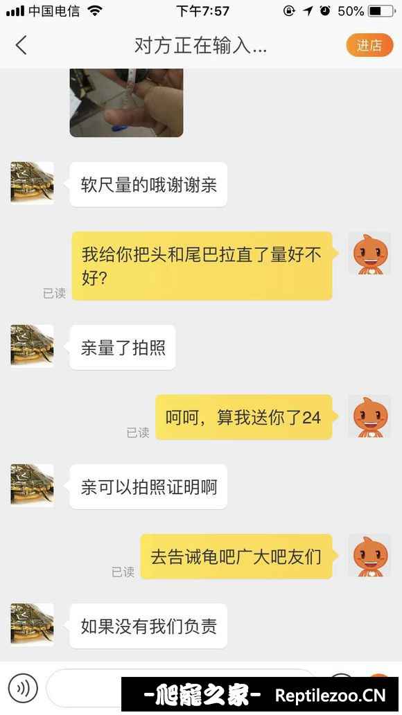 161828lmllpwpur8qhu5lu.jpg
