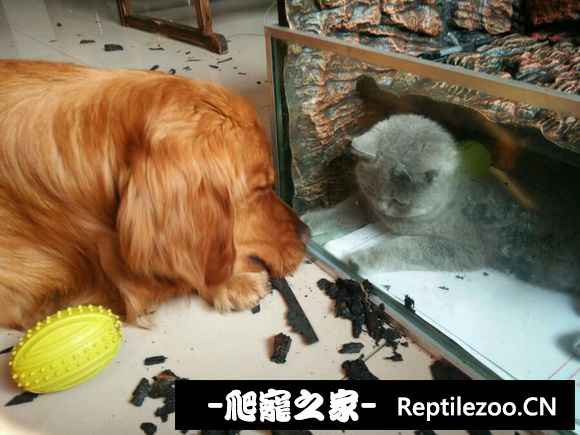 162316fmqjyxr7jvpfrh00.jpg