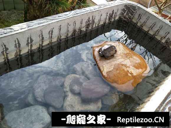 162415yen2aeps9hiznt6t.jpg