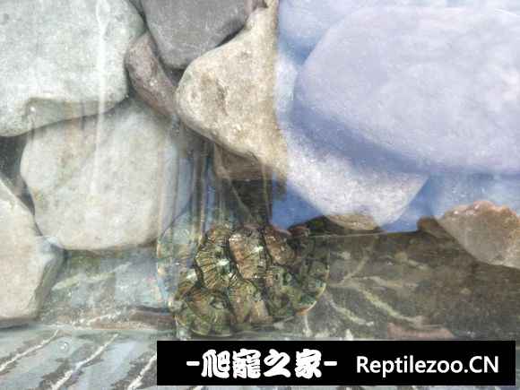 162416kxq222pvv9xmd2pp.jpg