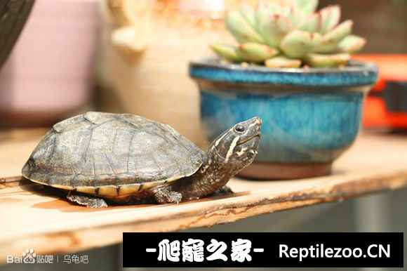 162430mrs1jxjrd9jqrrd9.jpg
