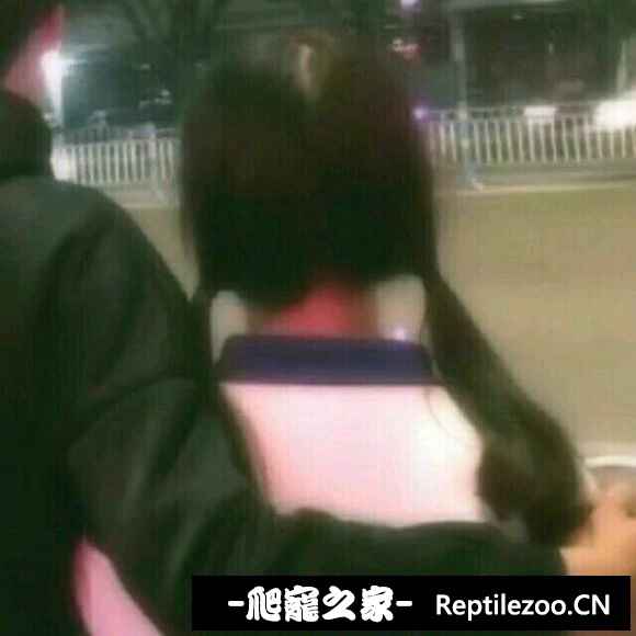 162707zkd5po35wmzi6q6t.jpg