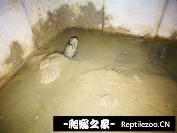 163338v9vh11lae1iak9v9.jpg