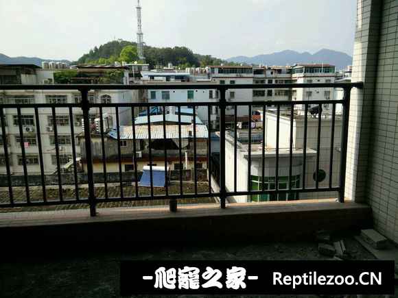 163435zszimv4pn9m9p2jp.jpg