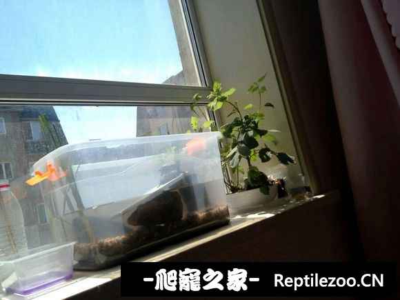 170050legb5zxf93ewbzxu.jpg