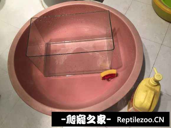 170144rrpuzhb74kz777ky.jpg