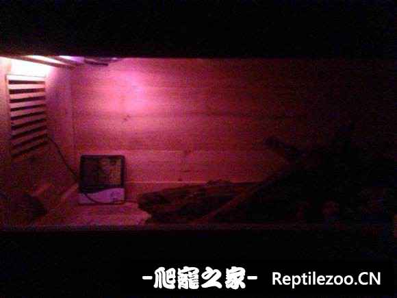 194559ox9h9ufua4xnhnhu.jpg