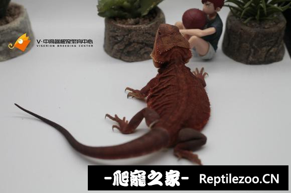 193618qxoquux2mya9hxp5.jpg