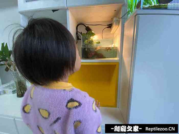 014212c6djtqgf60064zql.jpg