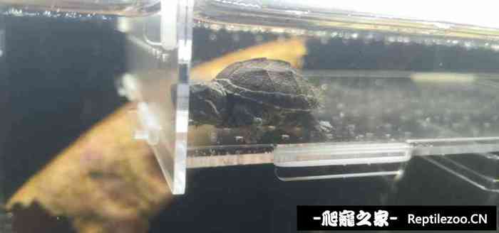 014237vw67yoy95vxvyoyz.jpg