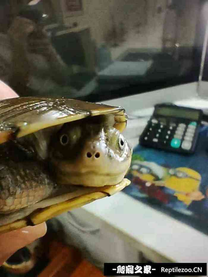 014818t1lefzmzw13awmff.jpg