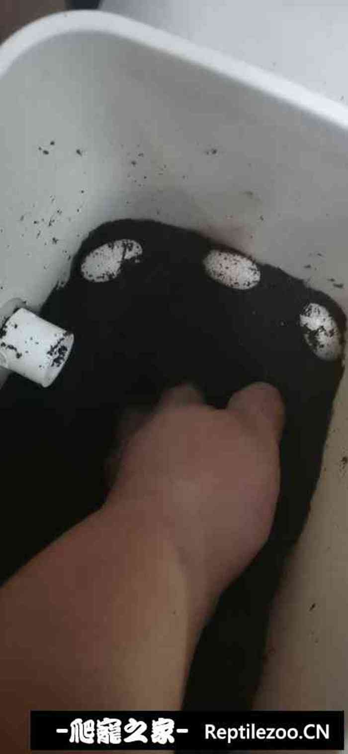 015258j1x1llczc7lfcdgx.jpg