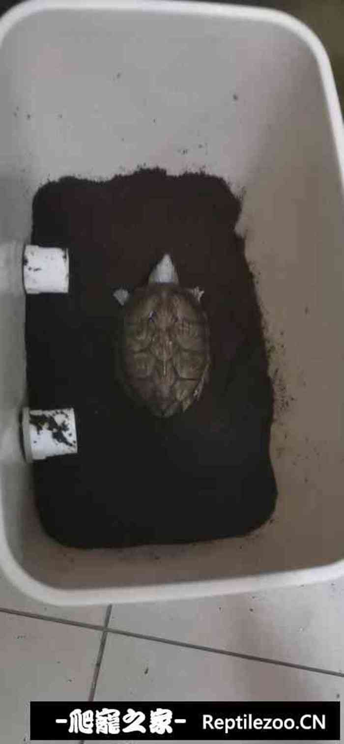 015259innqzehnx46sxp36.jpg