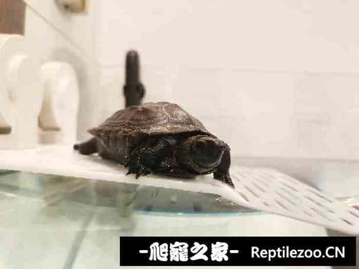 015308yjyjyy0y2yww200w.jpg