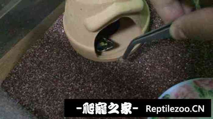 015411e8e0lg8nfad8fdom.jpg