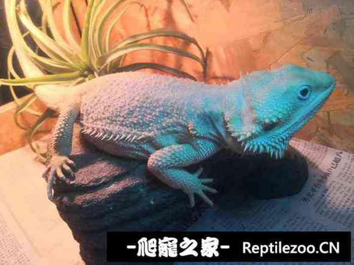 023011d7zuufvzrzt7uwz2.jpg