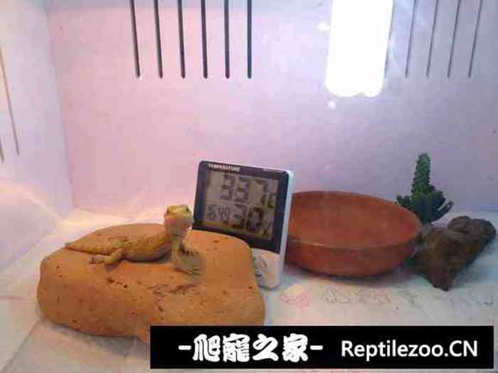 025007lv7upy0ovzhso48z.jpg